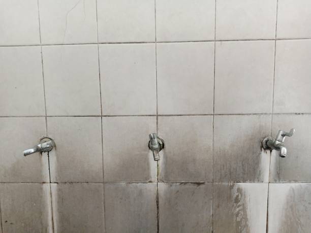 Best Basement water damage restoration  in Ottawa Hills, OH