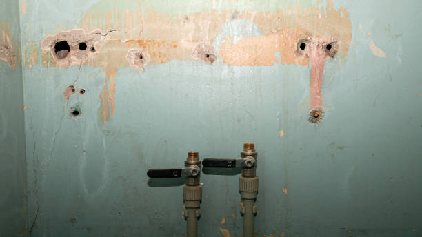  Ottawa Hills, OH Water damage restoration Pros