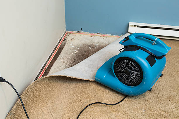 Best Sewage cleanup and water damage restoration  in Ottawa Hills, OH